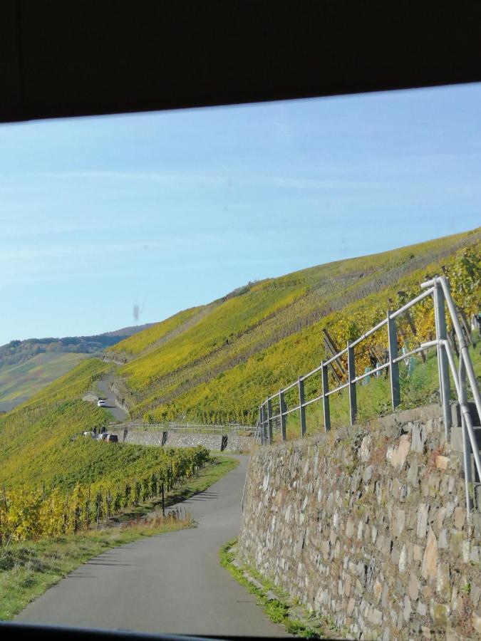 Weingut Licht-Stadtfeld Brauneberg Exteriör bild