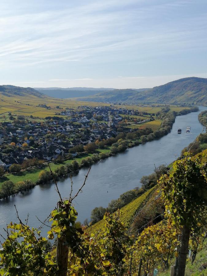 Weingut Licht-Stadtfeld Brauneberg Exteriör bild