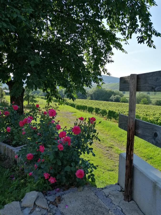 Weingut Licht-Stadtfeld Brauneberg Exteriör bild