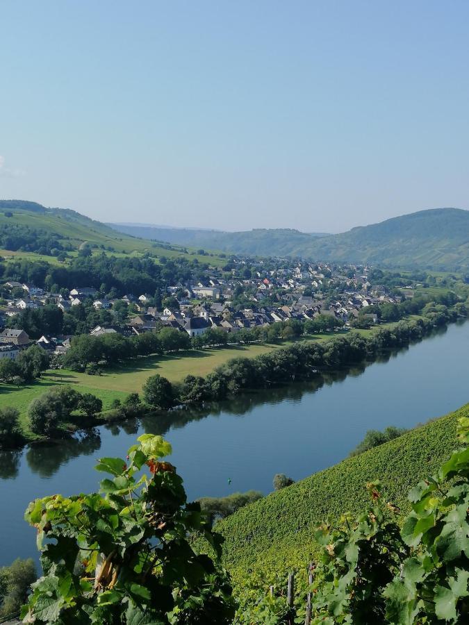 Weingut Licht-Stadtfeld Brauneberg Exteriör bild