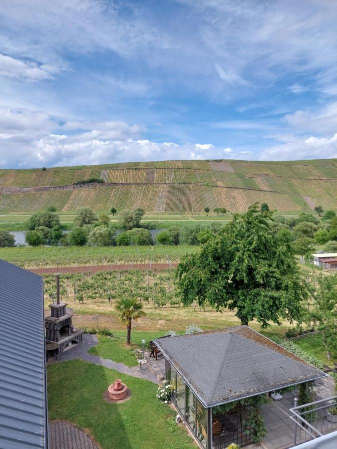 Weingut Licht-Stadtfeld Brauneberg Exteriör bild
